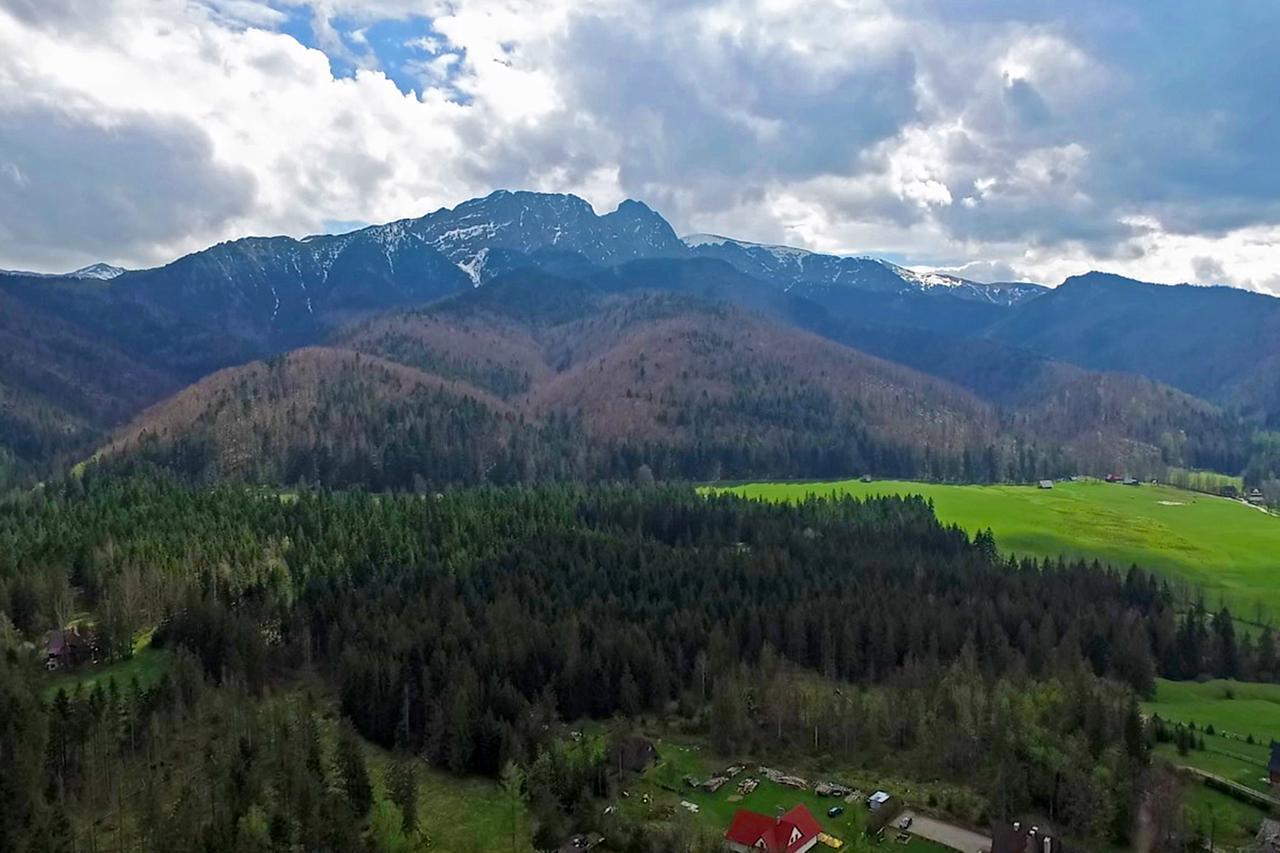 Hotel Nalecz City Center Zakopane Kültér fotó